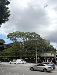 Forest Hills Condominium (D26), Condominium #457432581